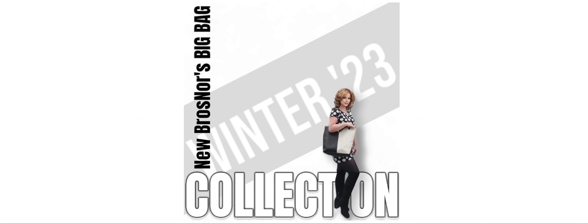 banner_big_bag_BrosNor_2023.jpg