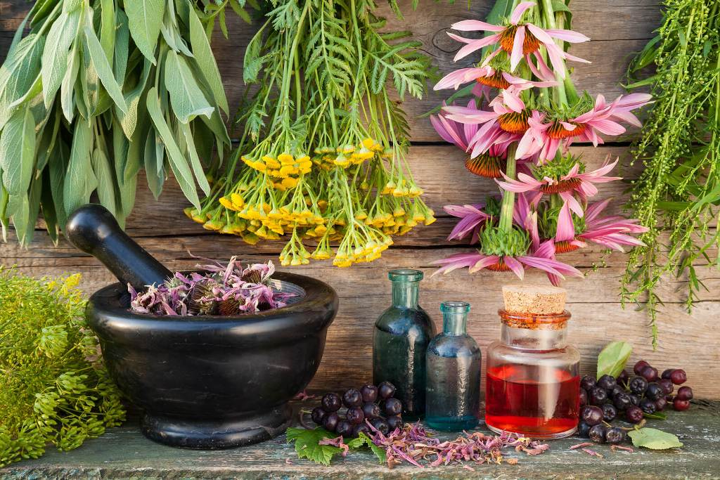 pot-medicinal-plants.jpg