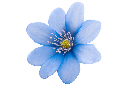 blue.jpg
