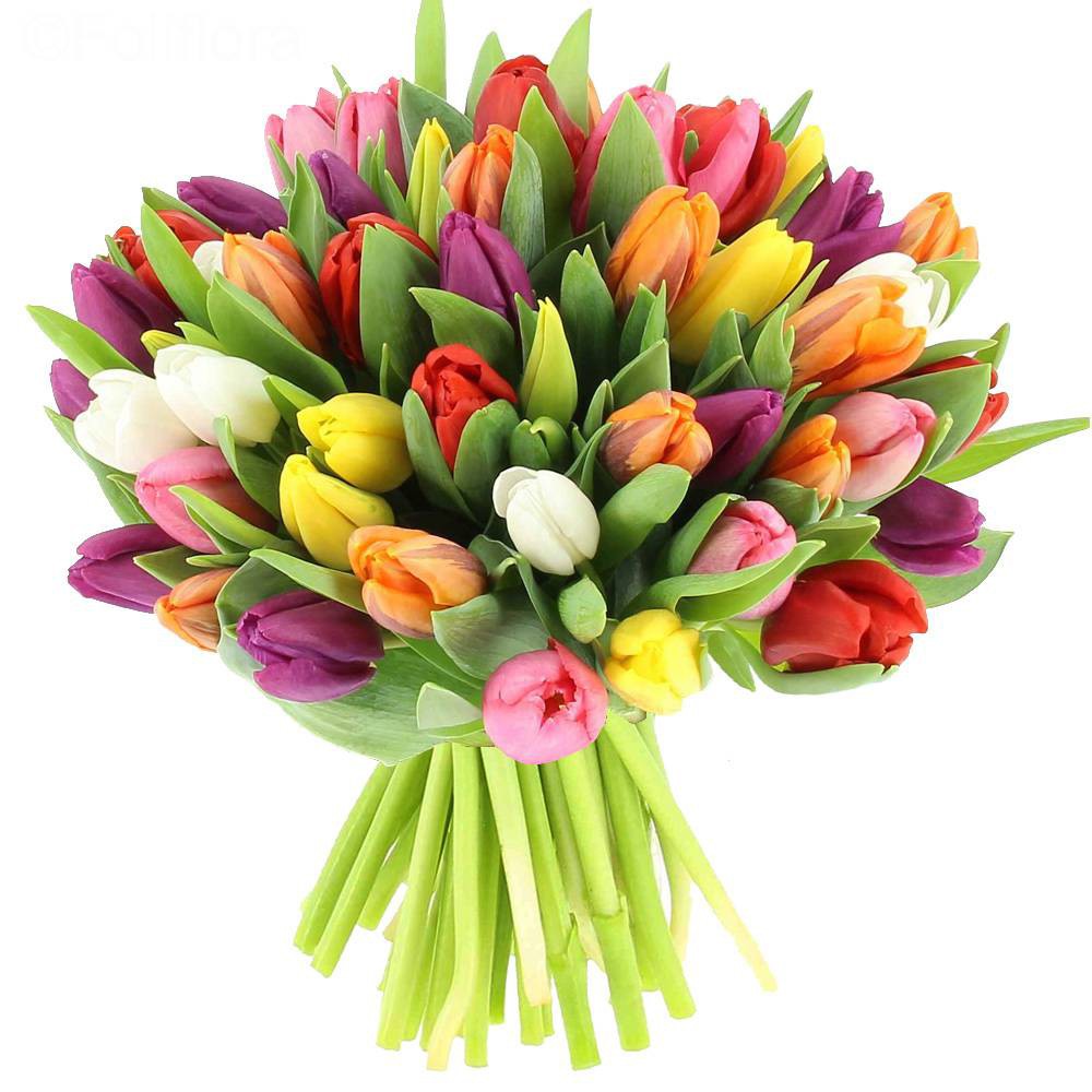 buchet-lalele-multicolore.jpg