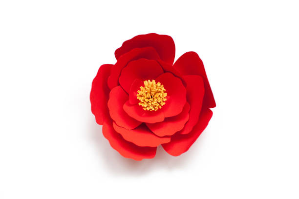 red.jpg