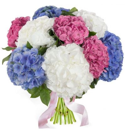 buchet-cu-9-hortensii-asortate.jpg