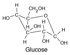 glucoza.png