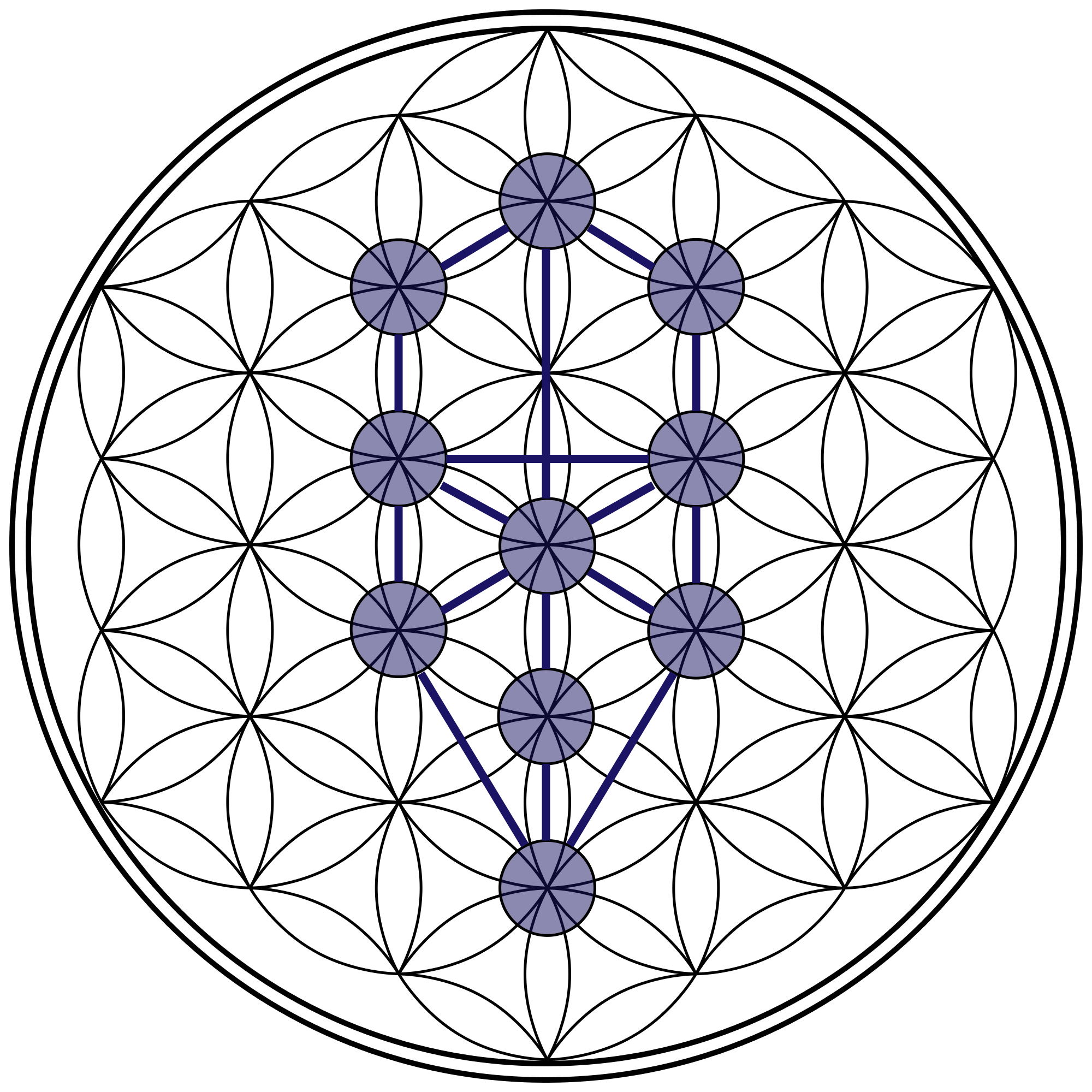 Tree-of-Life_Flower-of-Life_Stage.svg.png