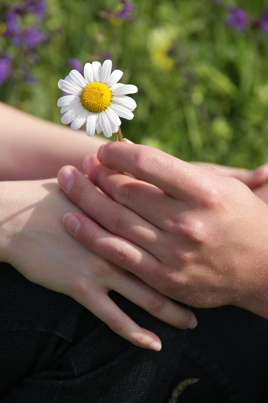 touch-hand-flower-finger-woman-people-communication-female-white.jpg